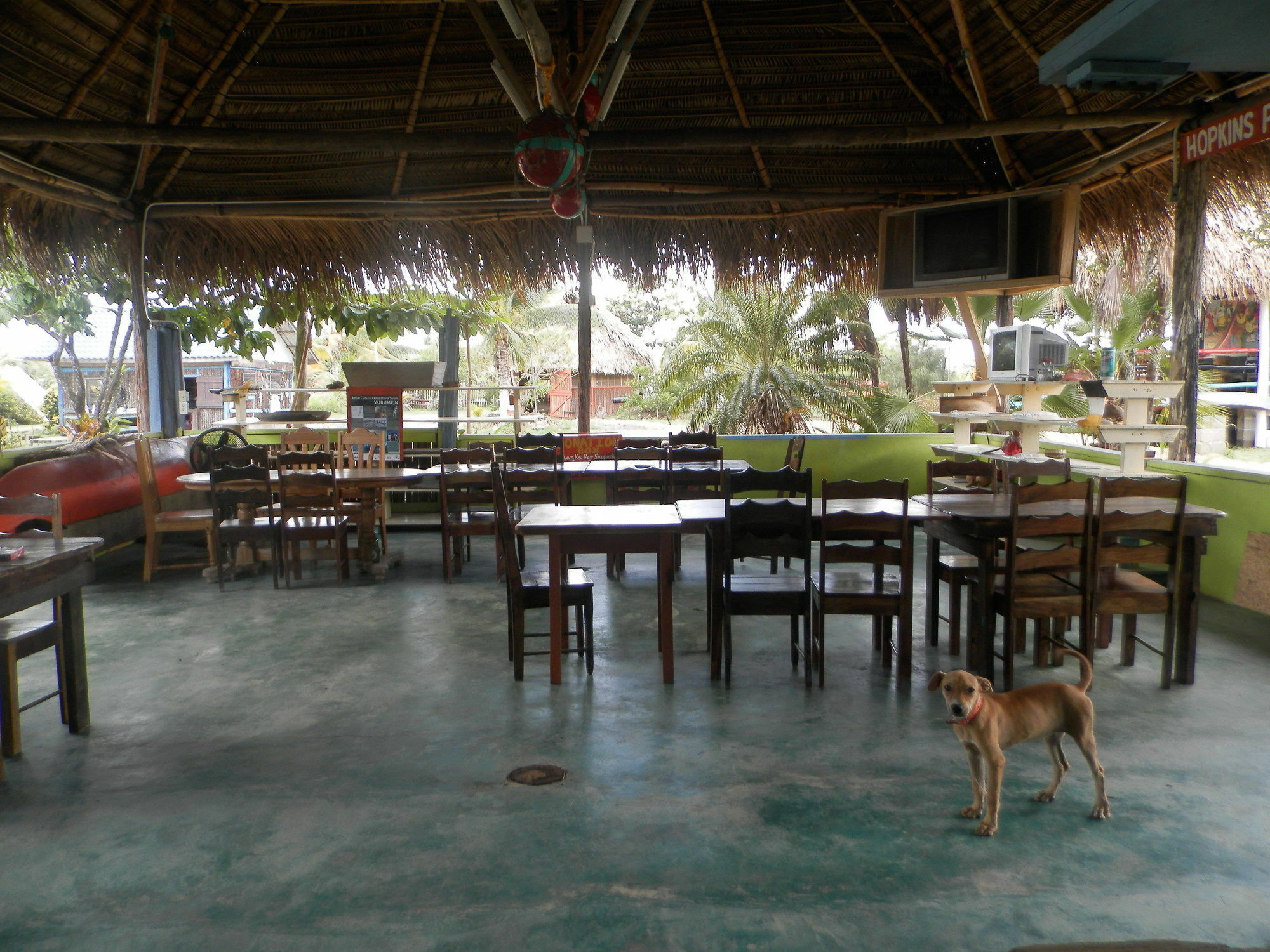 Palmento Grove Cultural And Fishing Lodge Hopkins Exterior foto