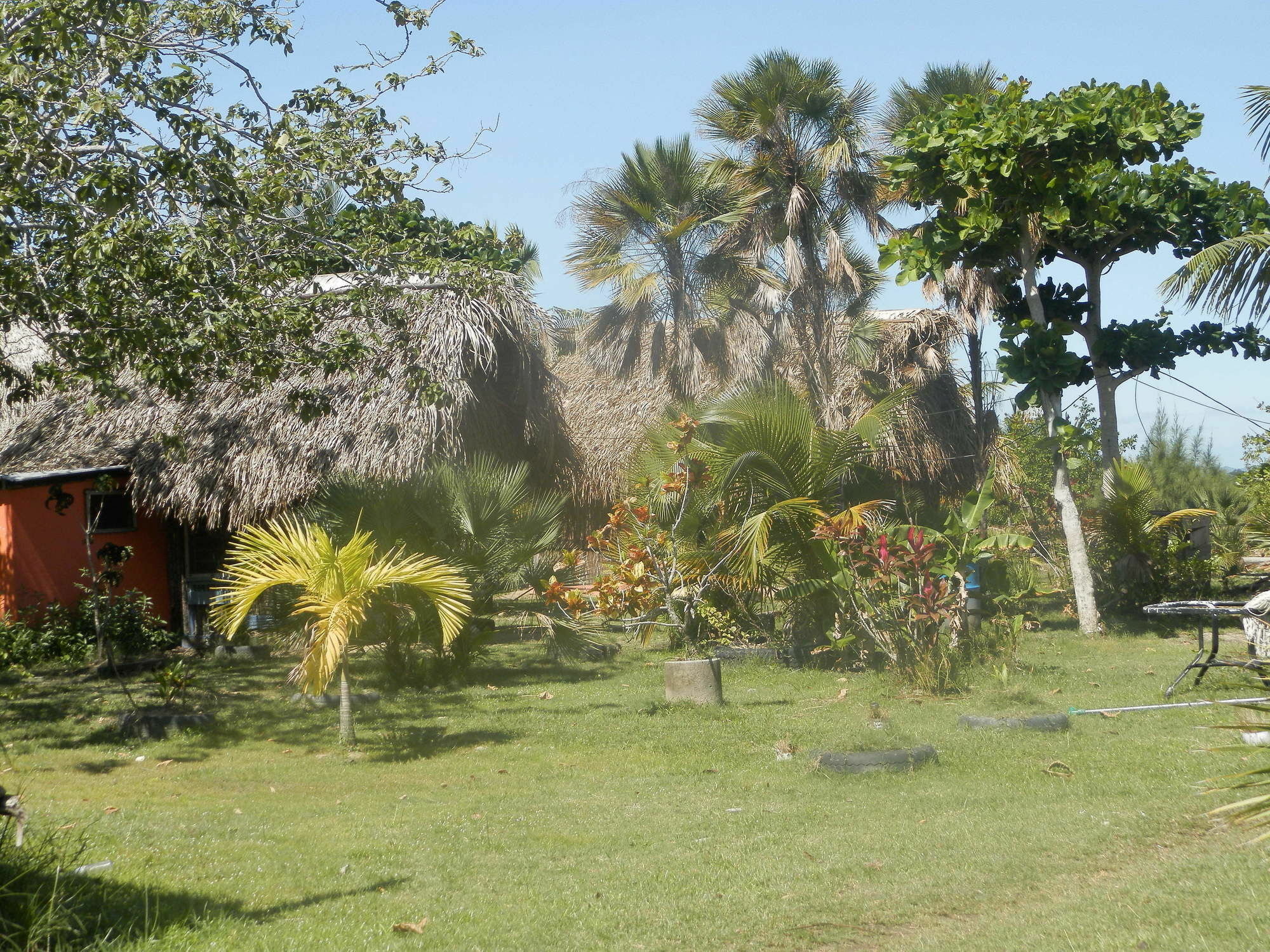 Palmento Grove Cultural And Fishing Lodge Hopkins Exterior foto