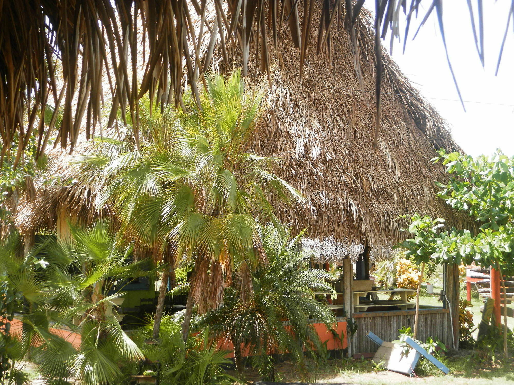 Palmento Grove Cultural And Fishing Lodge Hopkins Exterior foto