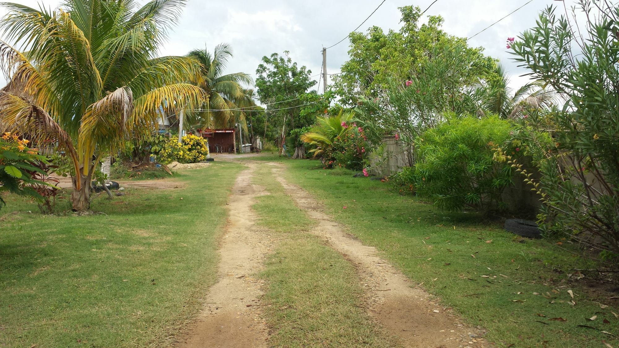 Palmento Grove Cultural And Fishing Lodge Hopkins Exterior foto