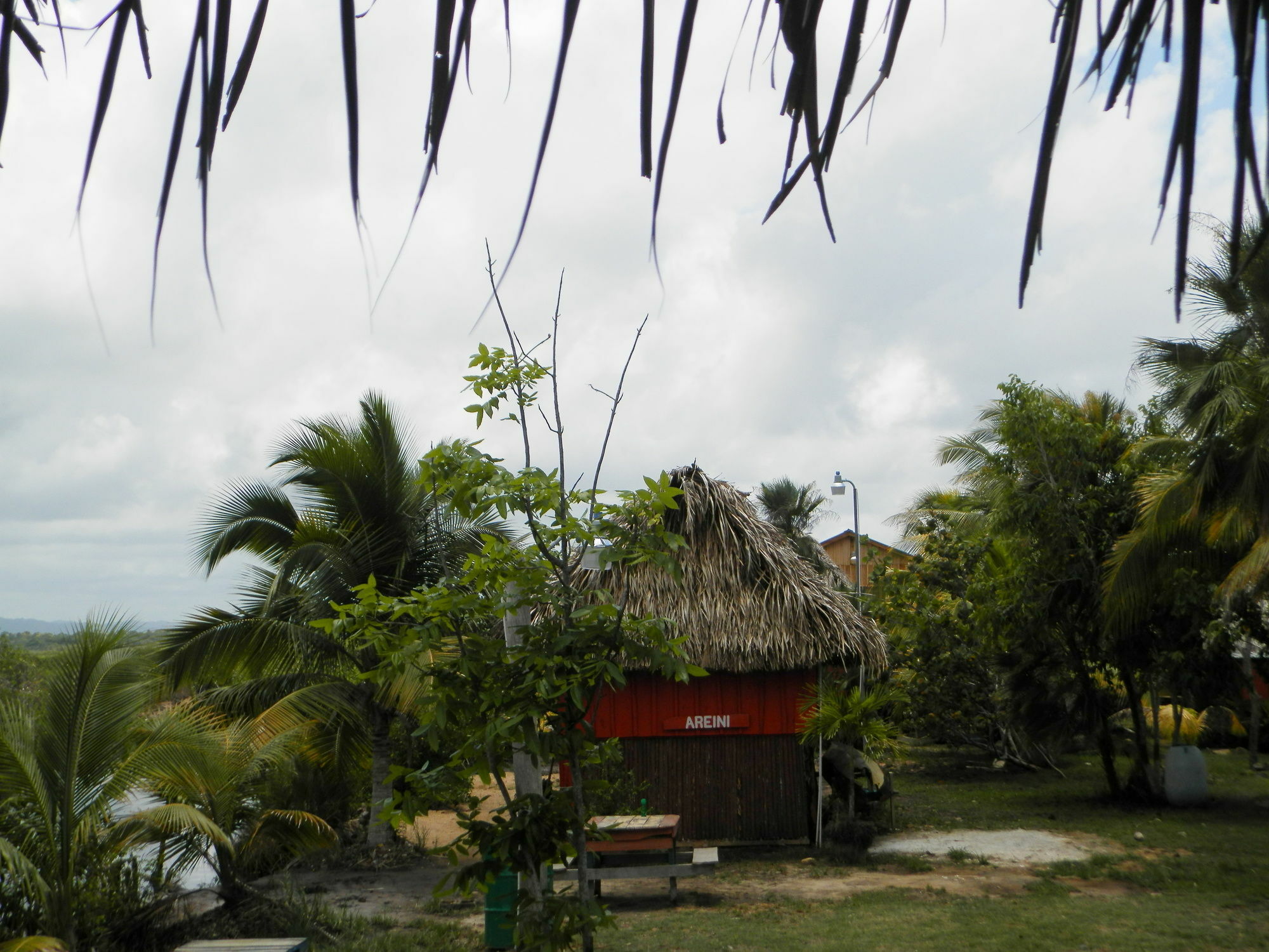 Palmento Grove Cultural And Fishing Lodge Hopkins Exterior foto